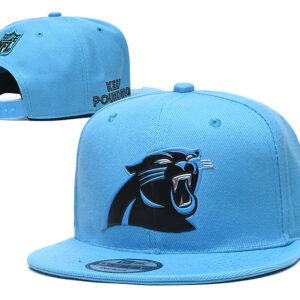 Carolina Panthers