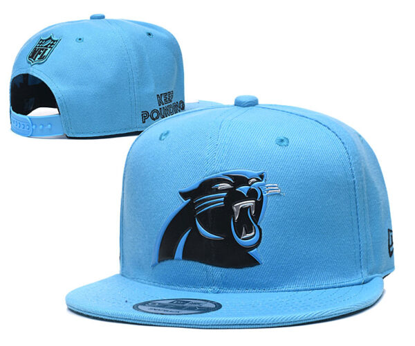 Carolina Panthers